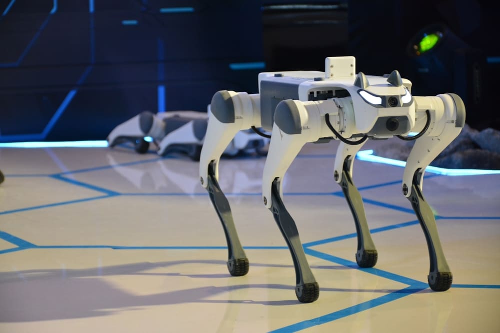 Čína cvičí smečky ozbrojených robotických psů pro boj ve městě, stroje se rozhodují kolektivně