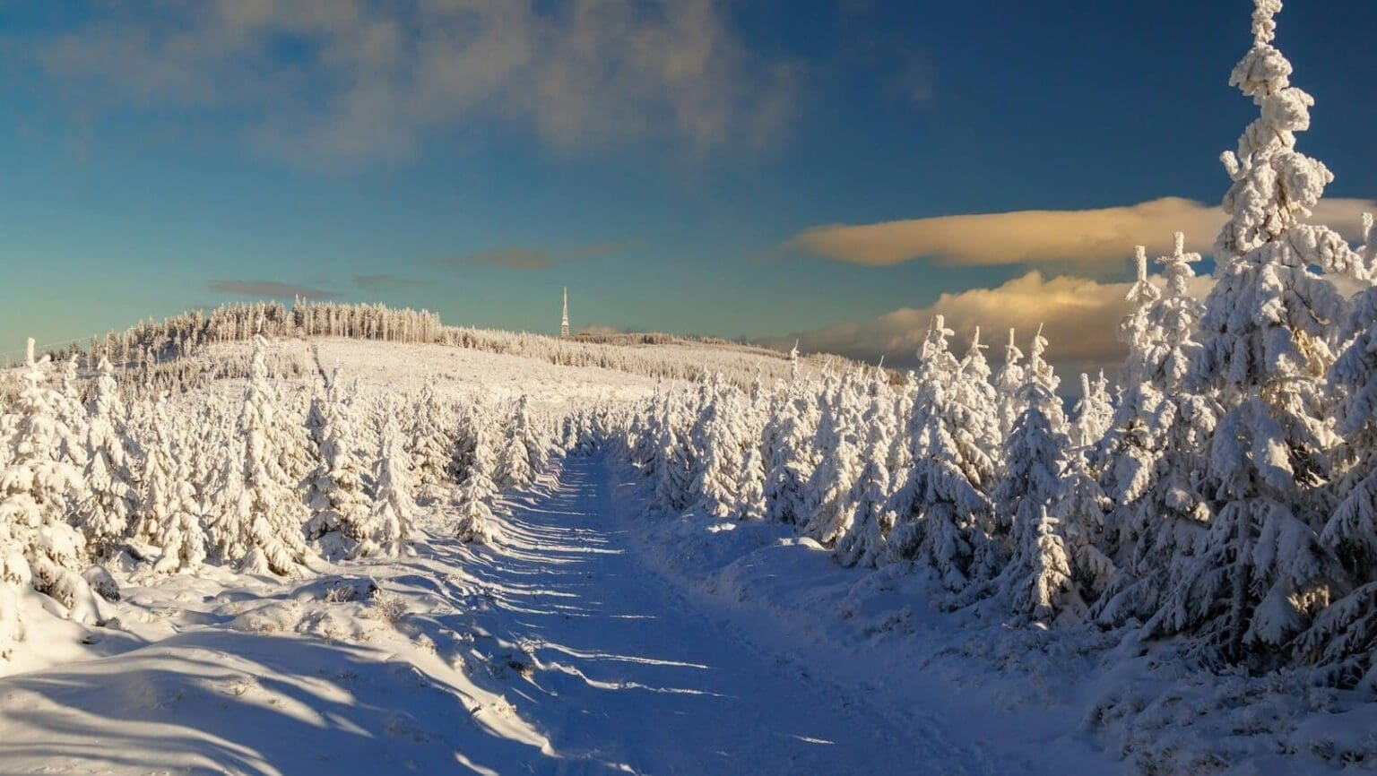 Z jara rovnou do mrazivé zimy: Česko zasáhne vítr o rychlosti 55 km/h a ranní mrazy