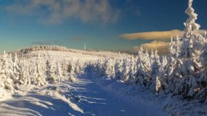 Z jara rovnou do mrazivé zimy: Česko zasáhne vítr o rychlosti 55 km/h a ranní mrazy
