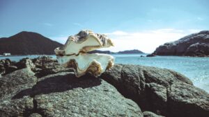 Vědci na Fidži objevili umělý ostrov, který před tisíci lety postavili první osadníci z tun potravinového odpadu