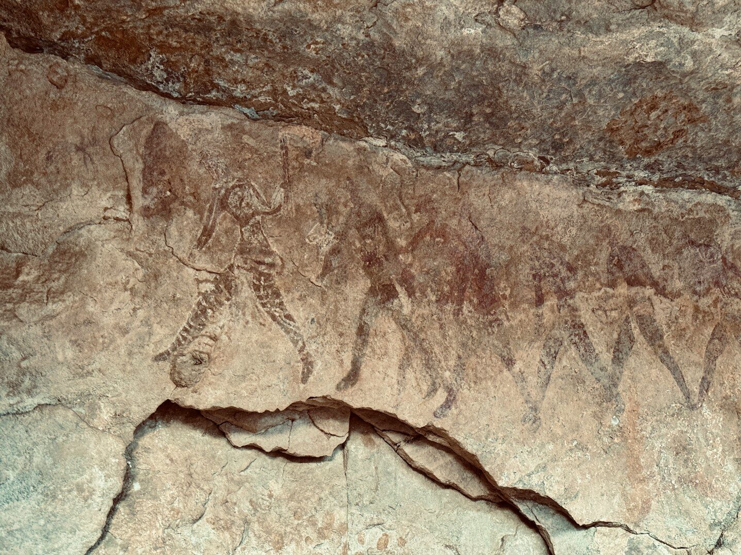 Lidská evoluce se nezastavila před statisíci lety: Zemědělství změnilo naši DNA v nedávné historii
