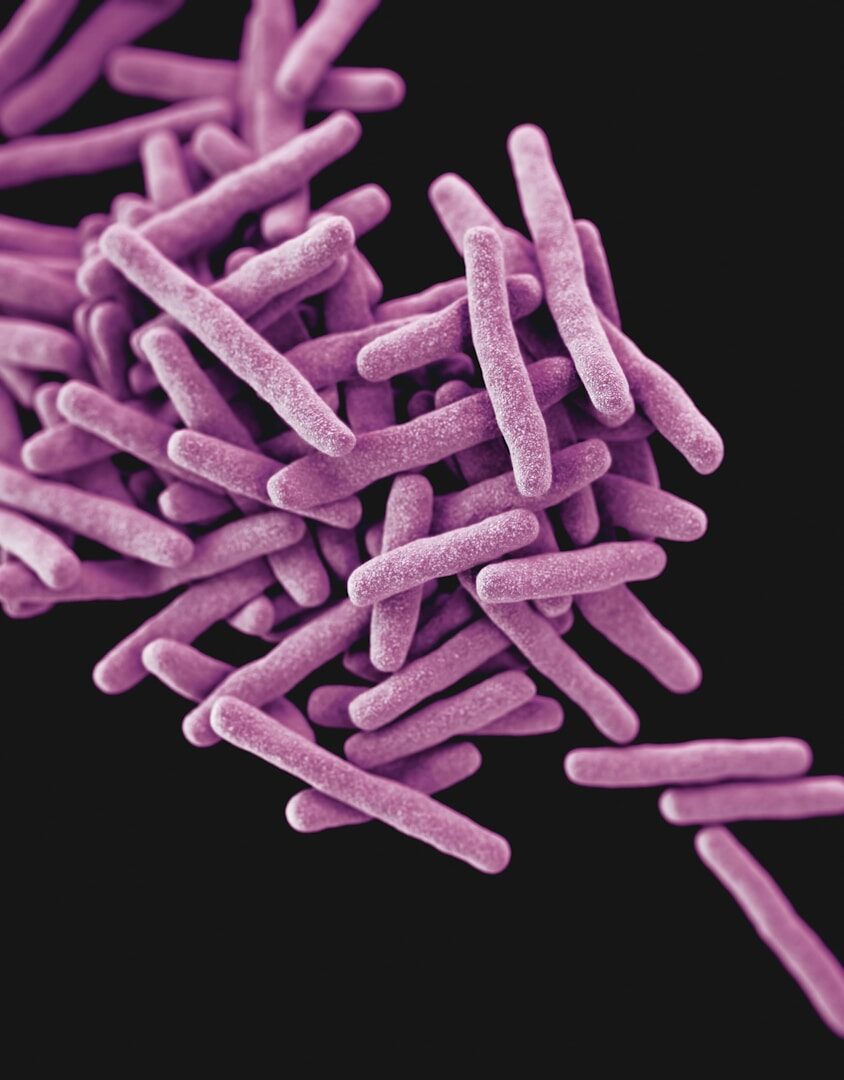 Zlom v léčbě infekcí: Nově navržená antibiotika zůstávají uvnitř buněk a zabíjejí superbakterie
