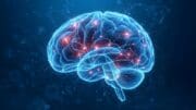Neurověda potvrzuje: Nejlepší nápady přicházejí, když mozek zdánlivě nic nedělá