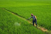 Konec chemie v jídle? Vědci vyvinuli bio roztok, který brzy použijeme doma