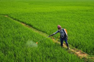 Konec chemie v jídle? Vědci vyvinuli bio roztok, který brzy použijeme doma