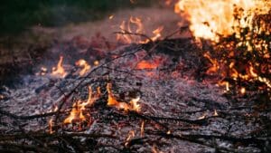 Oblíbený podzimní zvyk na zahradě vás může vyjít draho. Pokuta může dosáhnout 50 tisíc