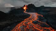 Příběh lesa, který kvetl v harmonii s dinosaury a zůstal netknutý miliony let