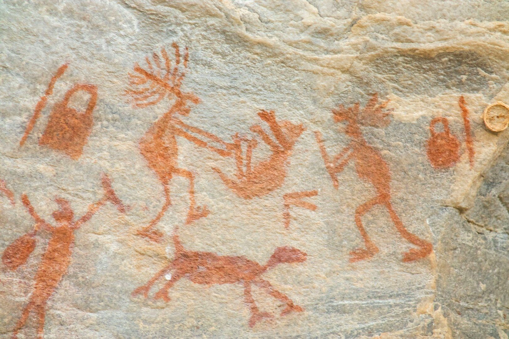 Analýza zubů druhu Homo naledi neodhalila u žádného z 20 jedinců mužský protein