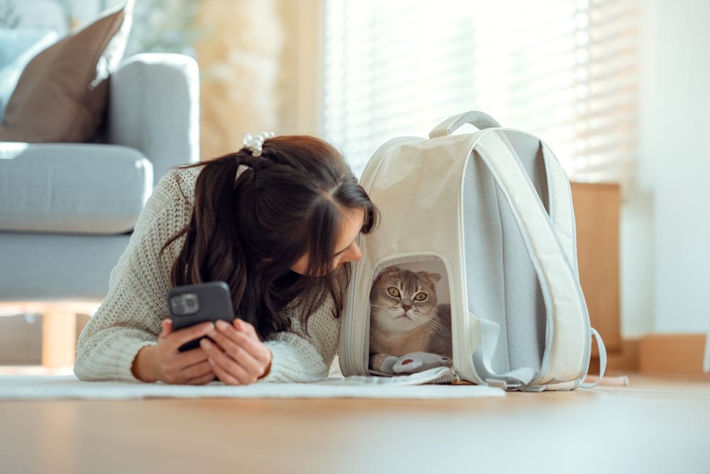 Technologie z Číny analyzuje emoce zvířat, vědecké důkazy ale zatím chybí