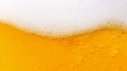 Češi nejsou první. Nejstarší pivo na světě vařili lidé v Izraeli před 13 000 lety