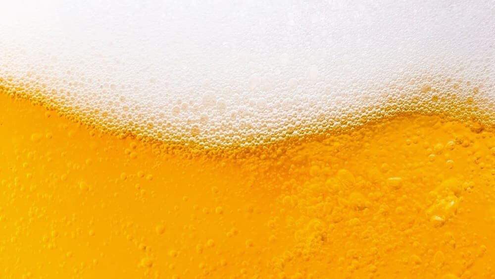 Češi nejsou první. Nejstarší pivo na světě vařili lidé v Izraeli před 13 000 lety
