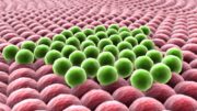 Modifikované syntetické buňky rostly v laboratoři rychleji a vytlačily původní populaci