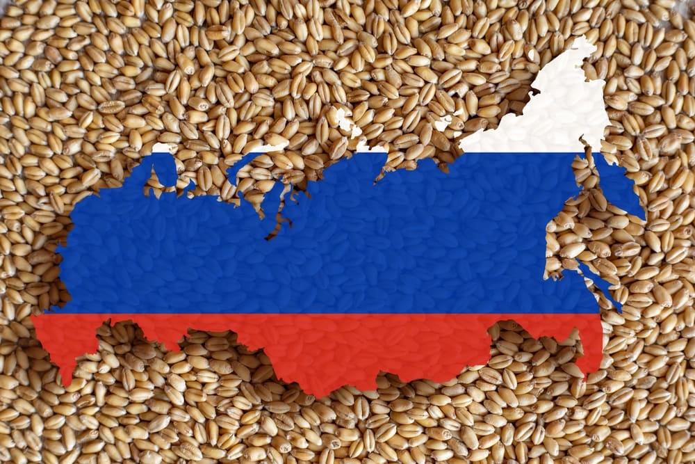 Putinovi nahrává samotná příroda. Ukrajině komplikuje cestu důležitou pro vývoz