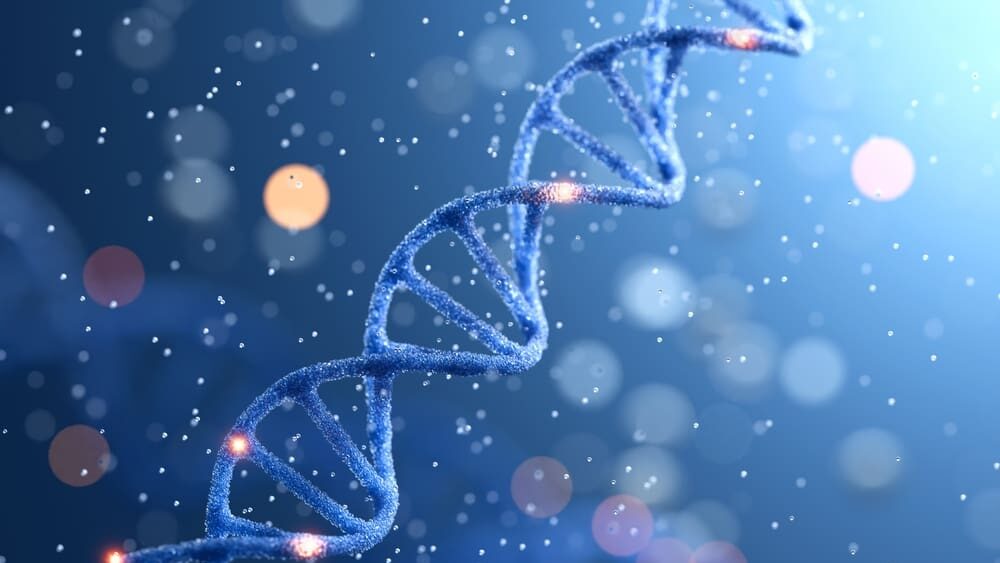 V lidské DNA našli stopy neznámých předků. Jedna linie se oddělila před 800 tisíci lety