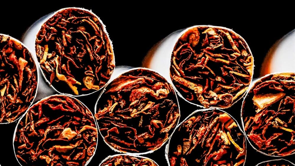 Celníci na D1 odhalili přes 16 tisíc nezdaněných cigaret. Pomohla jim služební fena Bára
