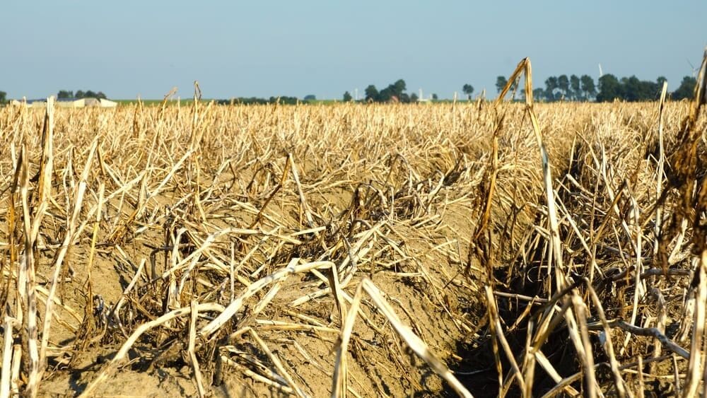 Svět řeší problém, který ohrožuje vodu i potraviny. Češi se podíleli na klíčových jednáních