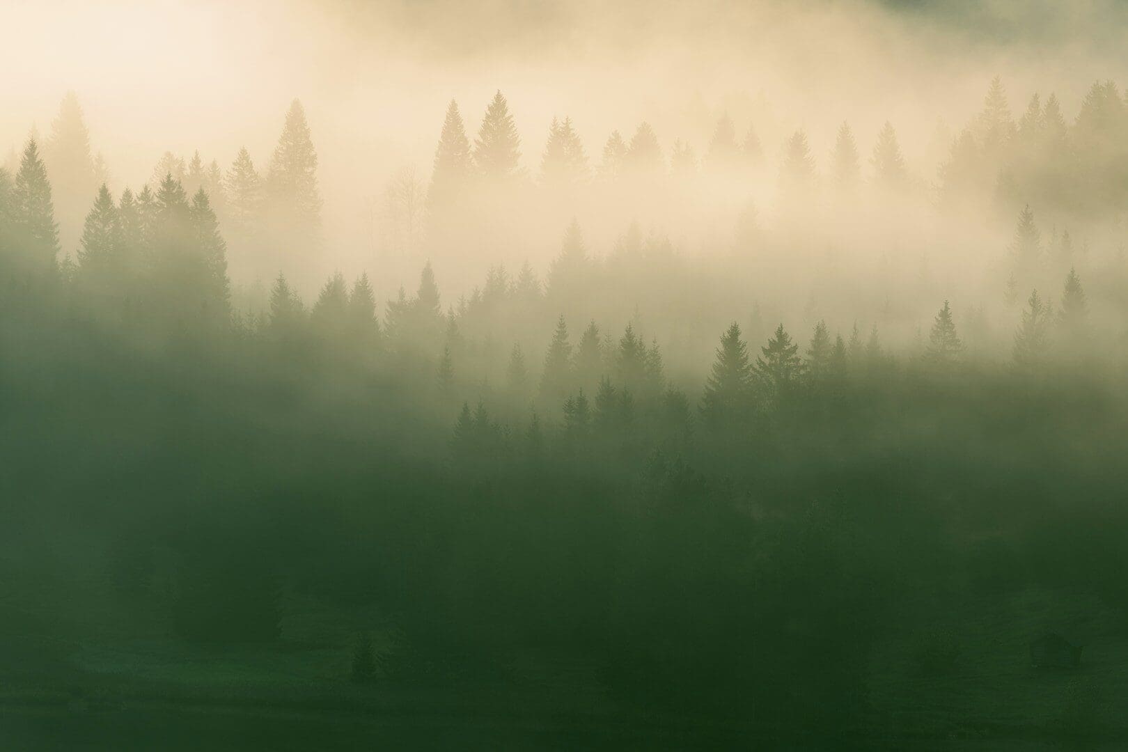 Zazelenění Číny a Indie může ovlivnit evropské zimy. Do Evropy přivádí více polárního vzduchu