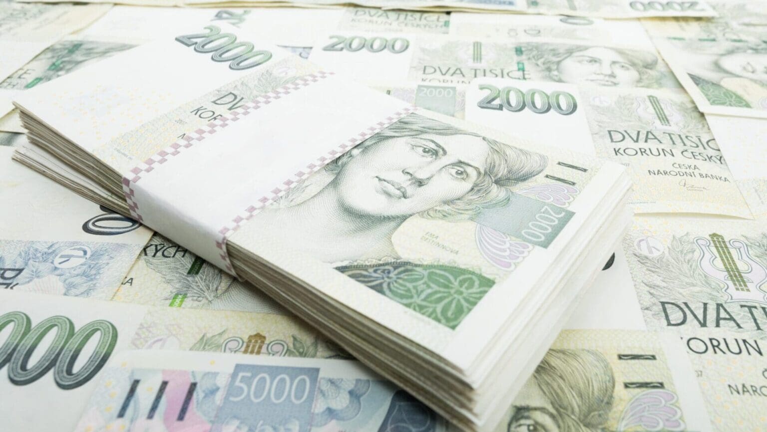 Státní zdravotní ústav potřeboval dalších 57 milionů. Vedení nyní prověřuje nákupy a hledá úspory