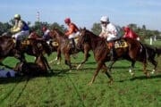 Velká pardubická 2026: Deset koní, deset osudů. Každý má svůj příběh a šanci překvapit
